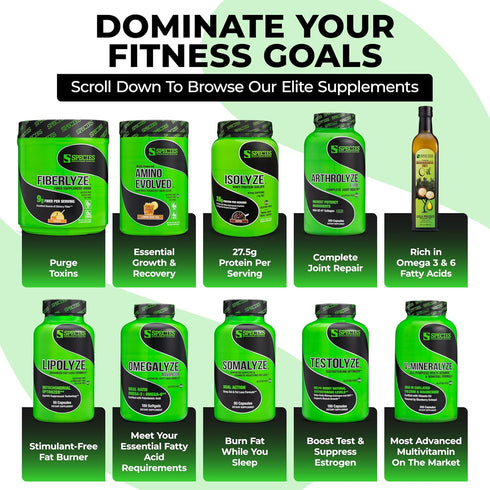 Species Nutrition EAA & BCAA Powder, Fermented Amino Acids for Muscle Recovery & Endurance (Lemon Iced Tea, 30 Servings)