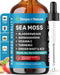 Ashwagandha & Turmeric Liquid Drops - Vitamin C, Sea Moss, Apple Cider