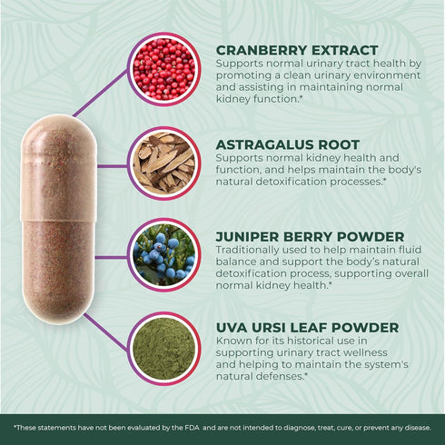 PurePremium Supplements - Kidney Support with Cranberry Extract & Astragalus - 60 Cranberry Pills for Urinary Tract