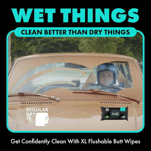 DUDE Wipes - Flushable Wipes - 6 Pack, 288 Wipes - Mint Chill Extra-Large Adult Wet Wipes