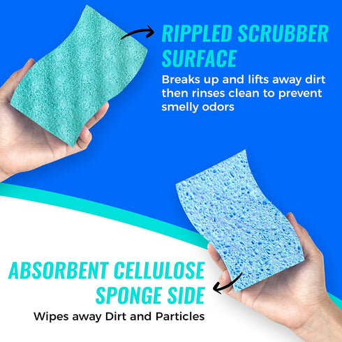 SCRUBIT Multi-Use Scrub Sponge, Non-Scratch Kitchen Sponges for Dishes, Heavy Duty & Odor-Free, 6 Count