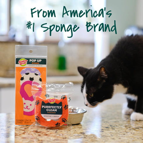 Water,3 Pack Scotch-Brite Cat Pop Up Non-Scratch Sponges, Limited Edition,Expands