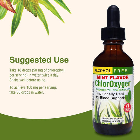 Herbs Etc. ChlorOxygen Chlorophyll Concentrate, Mint, 2 fl oz, Energy Support