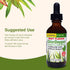 Herbs Etc. ChlorOxygen Chlorophyll Concentrate, Mint, 2 fl oz, Energy Support