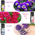 Blossom Essential Oils Set, 6x15ml Aromatherapy Oil Kit for Diffuser, Humidifier, Air Purifier