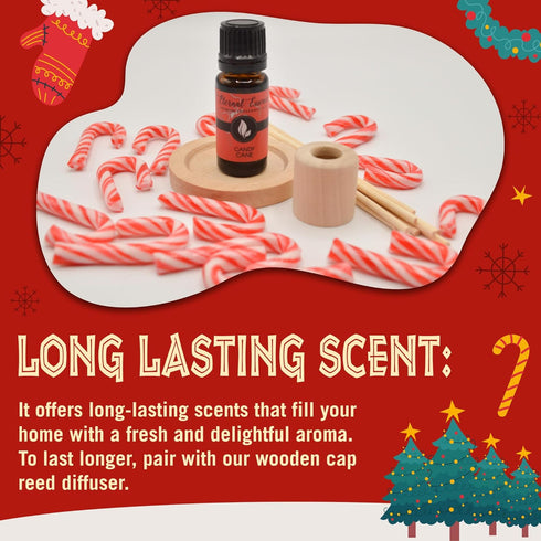 Eternal Essence Oils Holiday Fragrance Oil Gift Set - 6 Long Lasting 10mL Glass Bottles for Aromatherapy
