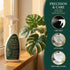 Silk Plant Cleaner Spray No Wipe, Silk Flower Cleaner Cleaner, Removes Dust & Restores Fresh Natural Look, Easy Spray