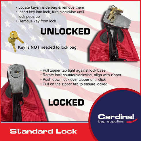 Lock,12 10 2 Inch Large Medicine Bag Includes Pill Box and Removable Clear Bags, Prescription Bottle Organizer, Travel