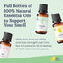 The Smell Project 10ml Smell Training Kit - Olfactory Training Kit with Real Essential Oils - Smell Therapy for Smell