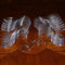 Asian Plastic Horderve or Dessert Spoon, Package of 50