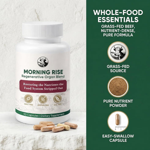 MORNING RISE 90 (1) Regenerative Beef Organ Blend - Grass-Fed Beef Organ Supplement for Daily Energy, Focus & Vitality