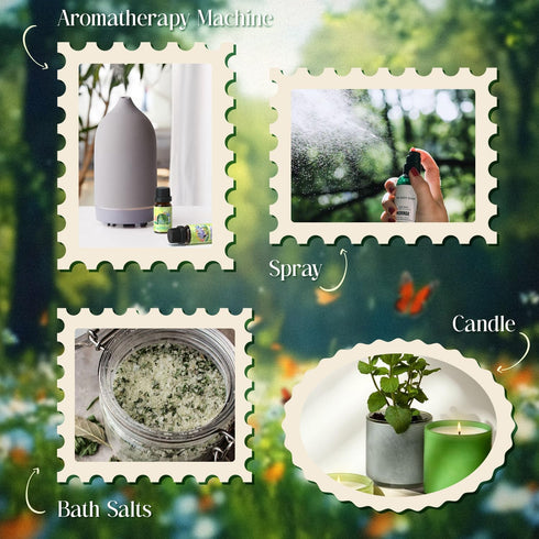 Set, Set Soulorigin Spring Fragrance Oils Essential Oil Gift for Diffuser, Spring Scent Diffuser Oil, Diffuser Scents