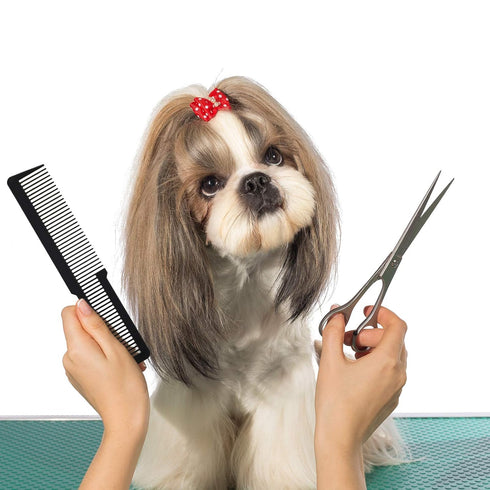 Patelai 10 Pieces Hair Cutting Comb, Fine Tooth Styling Barber Comb for Home Salon (Eye-catching Colors)