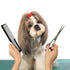 Patelai 10 Pieces Hair Cutting Comb, Fine Tooth Styling Barber Comb for Home Salon (Eye-catching Colors)