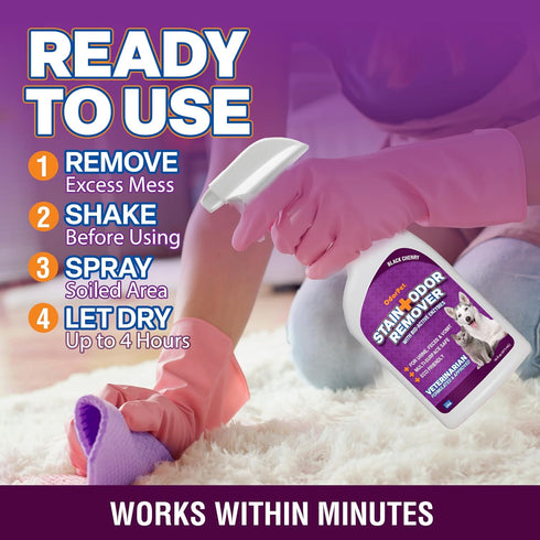 Stain and Odor Remover Spray, 16 oz Black Cherry Scented Pet Odor Eliminator for Carpet and Furniture