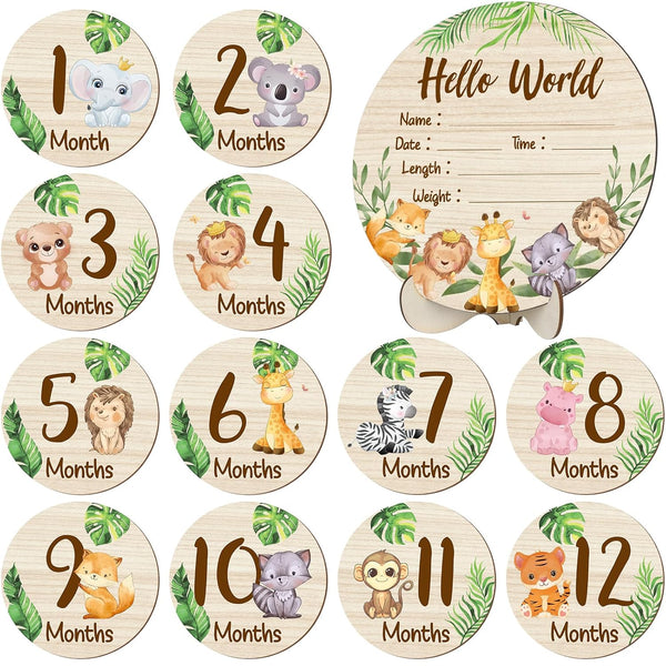 Wooden Baby Monthly Milestone Cards Double Sided Baby Birth Announcement Sign, Hello
