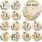 Wooden Baby Monthly Milestone Cards Double Sided Baby Birth Announcement Sign, Hello