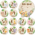Wooden Baby Monthly Milestone Cards Double Sided Baby Birth Announcement Sign, Hello