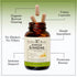 Herbal Roots Panax Ginseng | Organic Korean Ginseng Root Powder | 1000mg | High Ginsenosides for Energy & Performance |