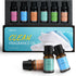 Clean Essential Oils Set - 6x10ML Fragrance Oil for Diffuser, Aromatherapy, Candle & Soap Making Essential Oil Kit