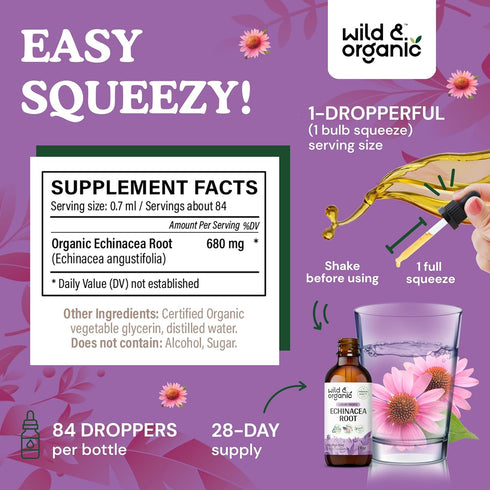 Echinacea Drops - Organic Tincture, Echinacea Root Supplement, Vegan, Alcohol Free - 2 fl oz
