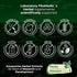 Lab Lions Mane | 120 Capsules - Ultra High Absorption Mushroom Supplement