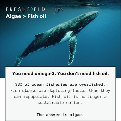 Ocean Saving Omega 3, Fish Oil Replacement, 2-Month Supply, Sustainably Sourced Algae Oil with Highest DHA