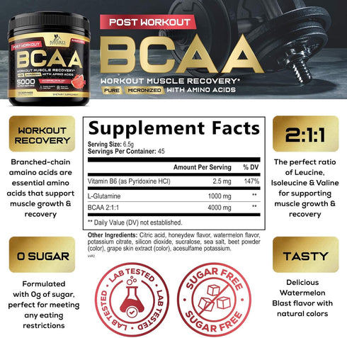 BCAA Powder - 4g BCAAs 2:1:1, 1g Glutamine, B6 - Pre Workout Drink for Energy Boost & Muscle Recovery, Watermelon