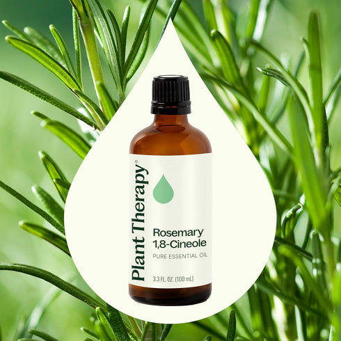 Plant Therapy Rosemary Essential Oil for Hair Growth, 100 mL (3.3 oz)