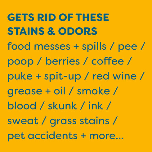 KIDS 'N' PETS Instant All-Purpose Stain & Odor Remover - 27 fl oz, Non-Toxic & Child Safe, Multi-Color