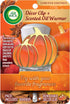 Air Wick Plug in Scented Oil Pumpkin Gadget, Fall Décor, Essential Oils, Air Freshener