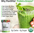 Plantvital Unflavored Organic Vegan Protein Powder - 18 Superfoods, Gluten Free - 16oz (Pack of 2)