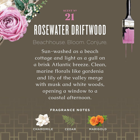 Caldrea Dish Soap, Biodegradable Liquid, Soap Bark and Aloe Vera, Rosewater Driftwood Scent, 16 oz