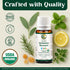 Immune Immune (10 ml) Center of Paradise Restart Kids Organic Essential Oil Blend for Support - USDA Certified, Pure