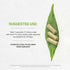 Secrets of the Tribe White Willow Capsules - 800 mg USDA Organic White Willow Dried Bark (120 Capsules)