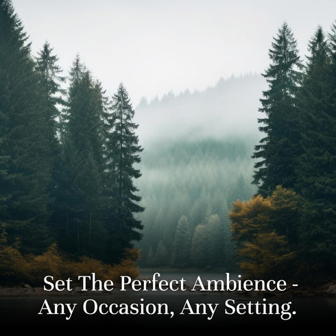 Set P&J Trading Fragrance Oil Favorite | Candle Scents for Candle Making, Freshie Scents, Soap Making Supplies