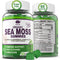 Sea Moss Gummies, Irish Sea Moss Supplement for Adults & Kids, Vegan with Organic Bladderwrack & Burdock Root