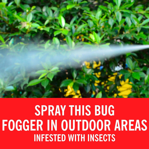 Coleman Outdoor Yard and Camp Fogger, Insect Repellent, 16oz, Ideal for Camping and Outdoor Spaces