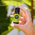 Edens Garden Cilantro Essential Oil, 100% Pure Premium Grade, Natural Therapeutic Aromatherapy, 10 ml