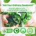 Original Chlorophyll Deodorizing Supplement for Full Body Freshness - 50 Tabs, Aluminum-Free