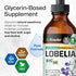BIO KRAUTER Lobelia Tincture - Vegan Alcohol & Sugar Free Respiratory Support Supplement - 4 Fl.Oz.