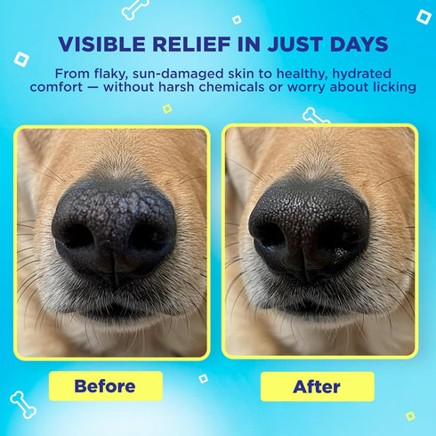 SnoutScreen Dog Nose Balm and Paw Balm - 2 oz - Moisturizing Formula for Dry Noses, Vet Recommended, Made in USA