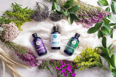 Woolzies Lavender Essential Oil - 100% Pure Therapeutic Grade for Diffuser and Topical Use, 4 Fl Oz