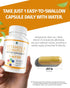 1 Body Vitamin B Complex, High Potency Methylated B12 & 5-MTHF Folate for Energy & Brain Support, 60 Capsules