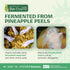 Fuwa3e Pineapple Enzyme Natural All Purpose Cleaner Spray, 16.9oz, Non-Toxic Multi Surface Cleaner from Pineapple Peels