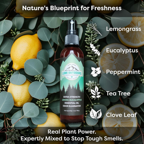 Lemon Eucalyptus Shoe Deodorizer Spray & Foot Powder Bundle - Natural Freshness