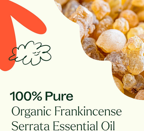 Plant Therapy Organic Frankincense Serrata Essential Oil, 100% Pure, USDA Certified Organic, Natural Aromatherapy,
