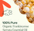 Plant Therapy Organic Frankincense Serrata Essential Oil, 100% Pure, USDA Certified Organic, Natural Aromatherapy,