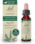 Bach Original Flower Remedies, Agrimony for Open Communication, Natural Homeopathic Essence, Vegan, 10mL Dropper