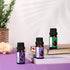 Set "Bliss" Organic Essential Oils, Rosemary + Sage + Lavender, 100% Pure and Natural, 3 pcs x 10 ml